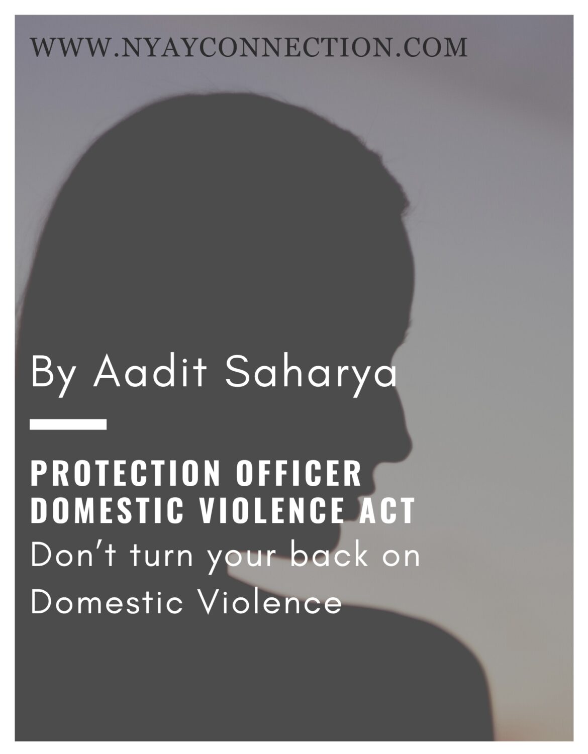 PROTECTION OFFICER UNDER THE DOMESTIC VIOLENCE ACT