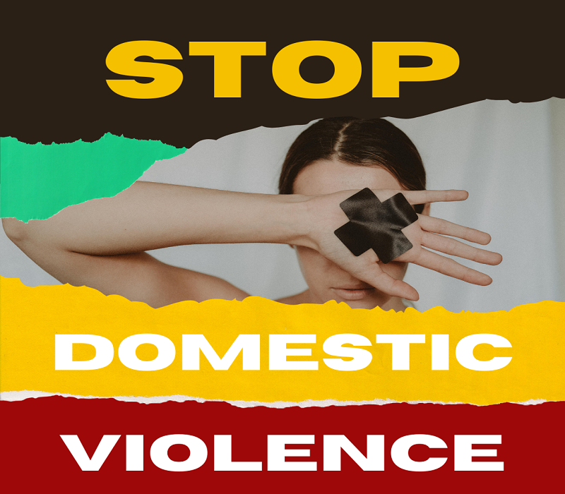 PROTECTION OF WOMEN FROM DOMESTIC VIOLENCE ACT, 2005 – AN OVERVIEW